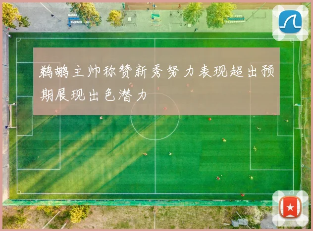 鹈鹕主帅称赞新秀努力表现超出预期展现出色潜力