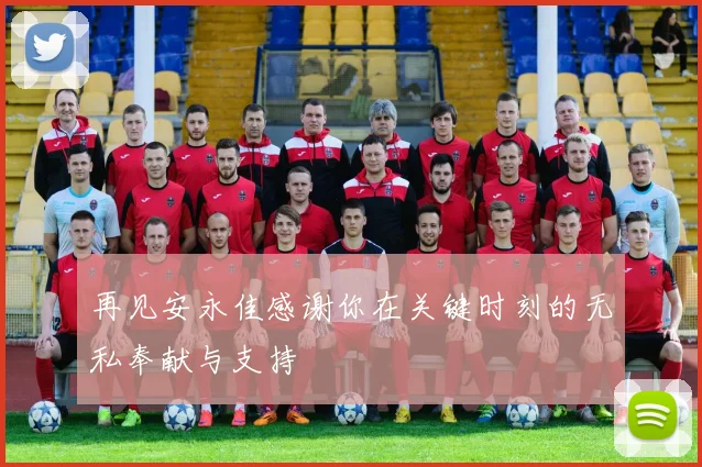 再见安永佳感谢你在关键时刻的无私奉献与支持