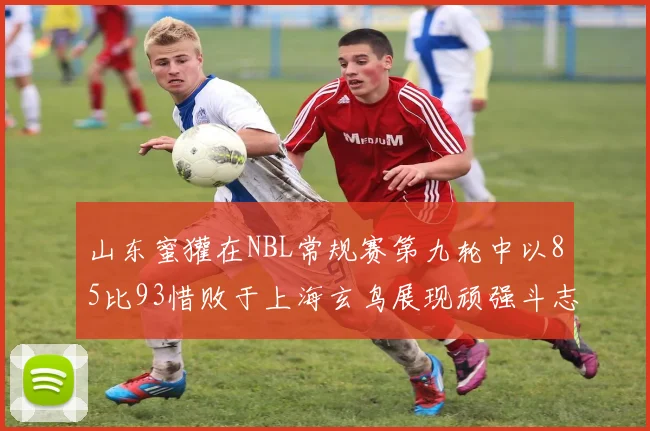 山东蜜獾在NBL常规赛第九轮中以85比93惜败于上海玄鸟展现顽强斗志