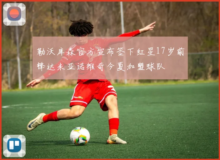 勒沃库森官方宣布签下红星17岁前锋达米亚诺维奇今夏加盟球队